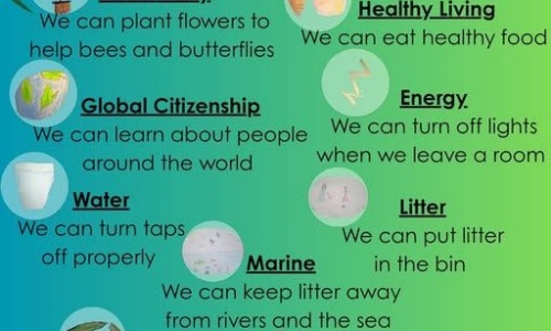 News » Eco Warriors' Monthly Top Tips